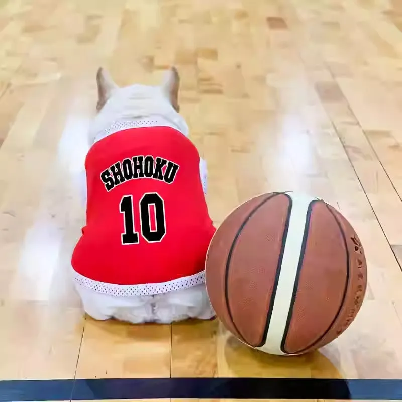 Frenchie Sports Jersey Lightweight Breathable Mesh Vest for Dogs